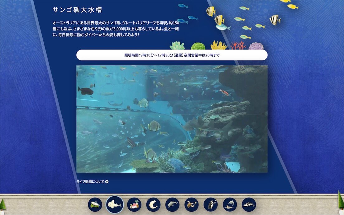 名古屋港水族館ライブ-魚たち